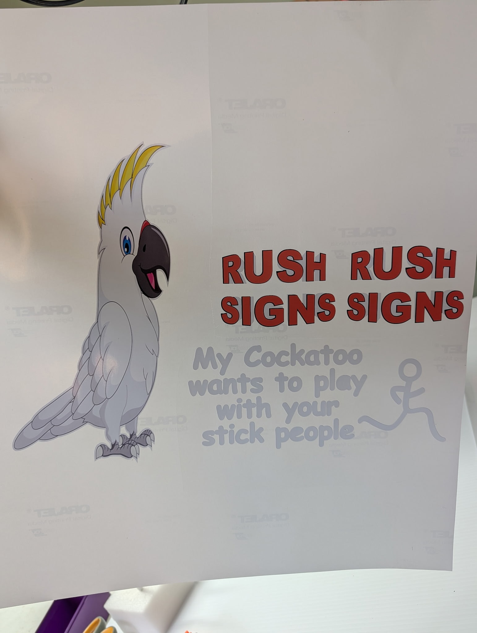 Rush Signs cockatoo mascot graphic print
